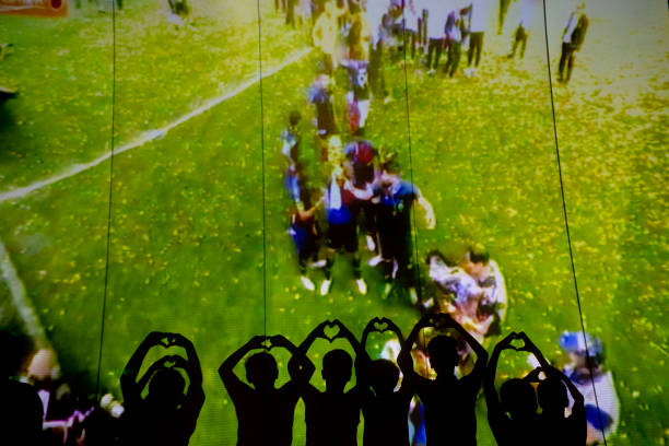 年轻球员谢 年轻球员谢