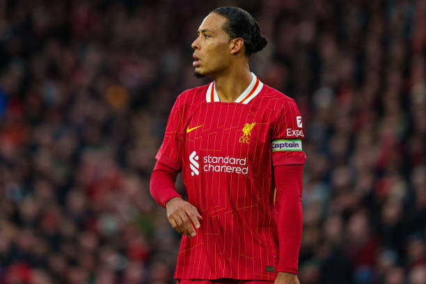 培养和支持 培养和支持